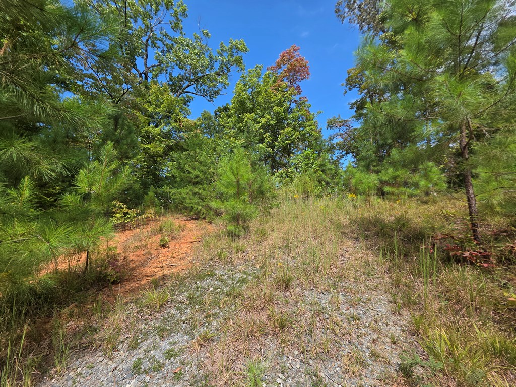 1077 Harris Creek Drive