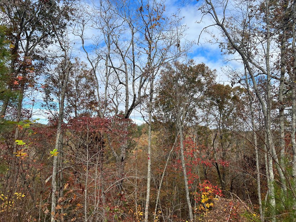 1077 Harris Creek Drive