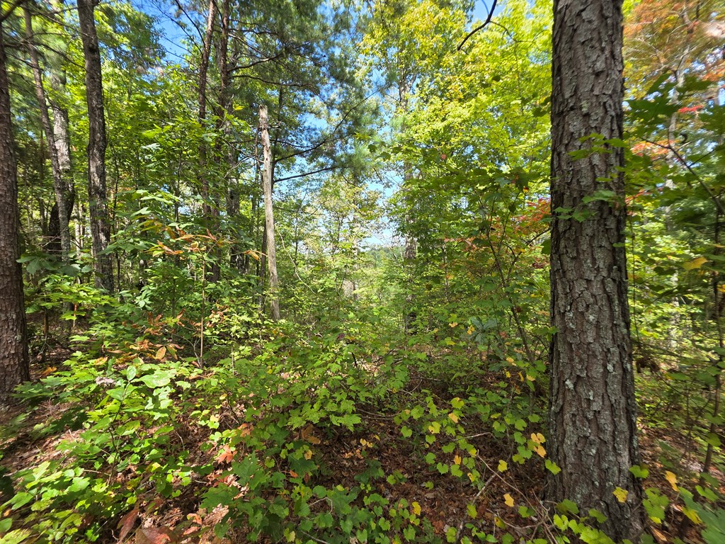 1077 Harris Creek Drive