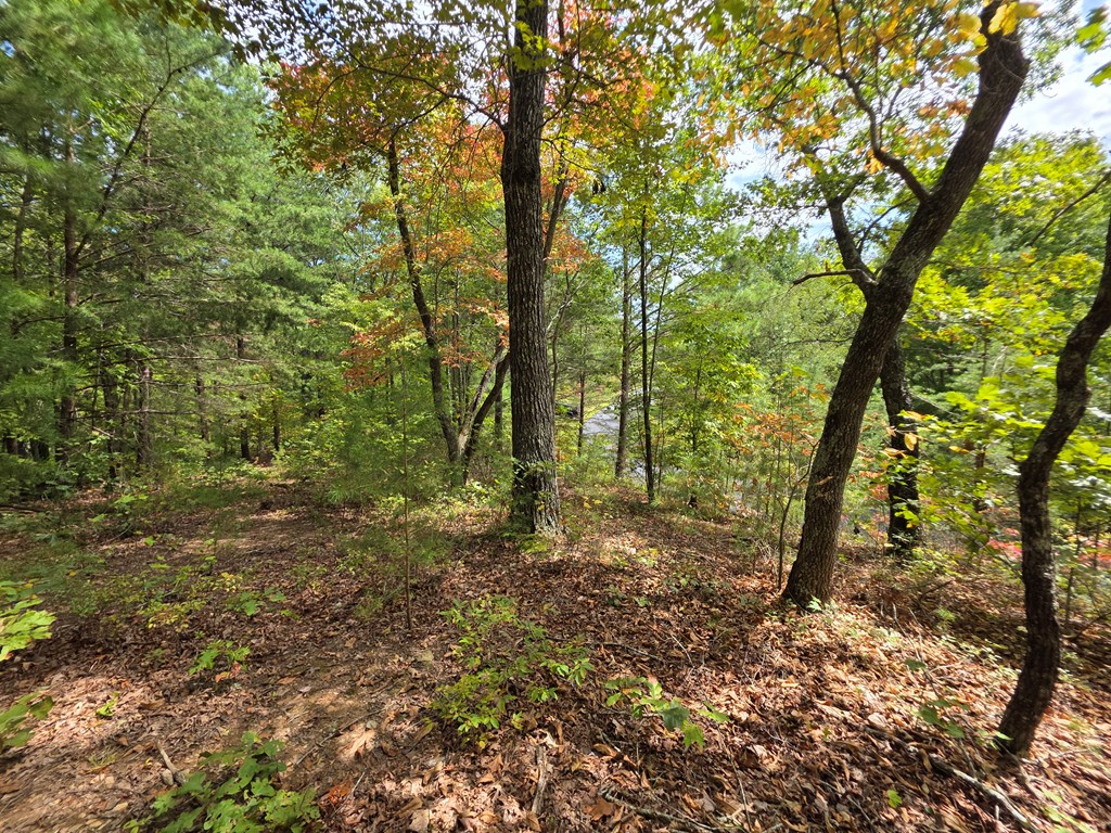 1077 Harris Creek Drive