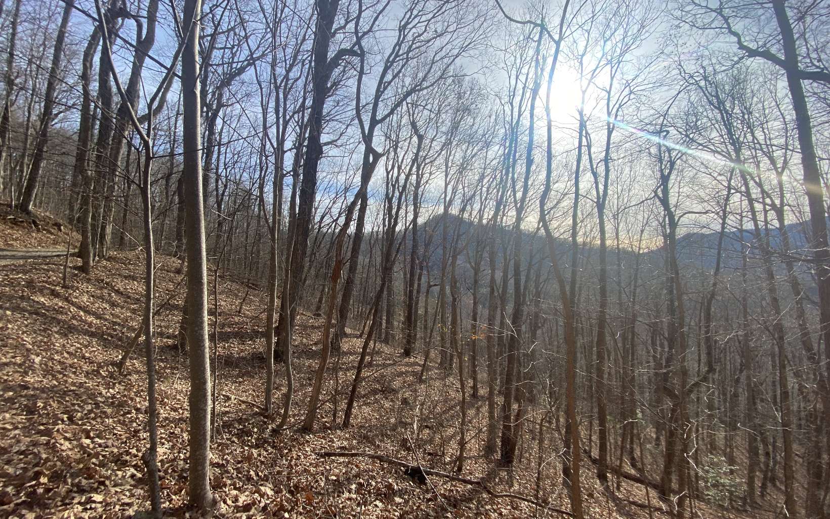 TR. 1 Caesar Gap Road