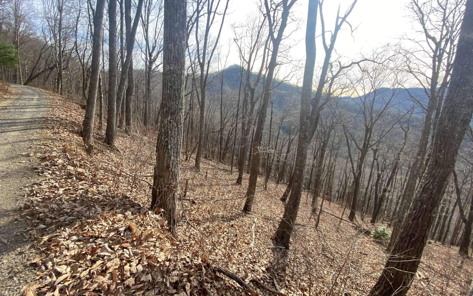 TR. 1 Caesar Gap Road