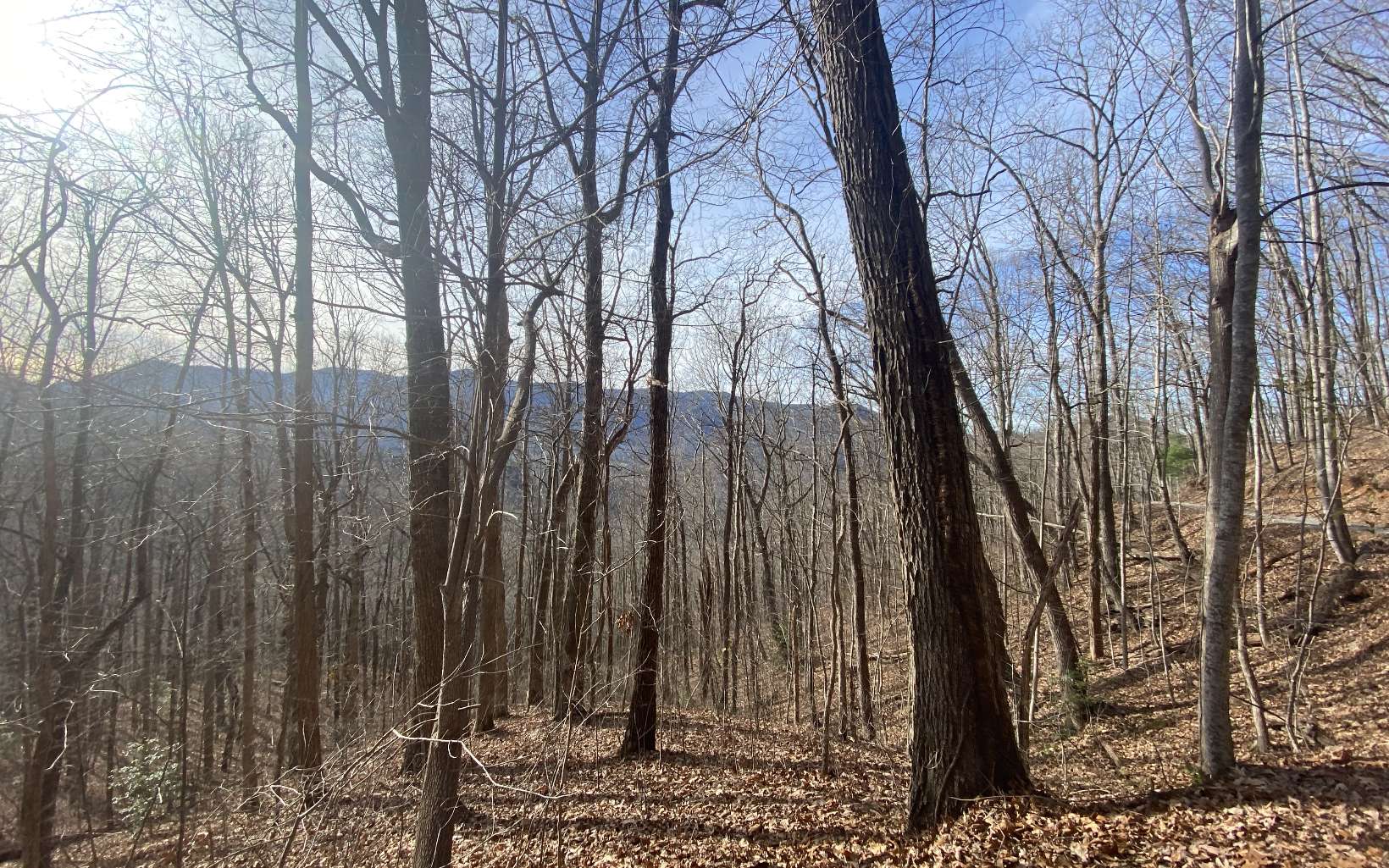 TR. 1 Caesar Gap Road