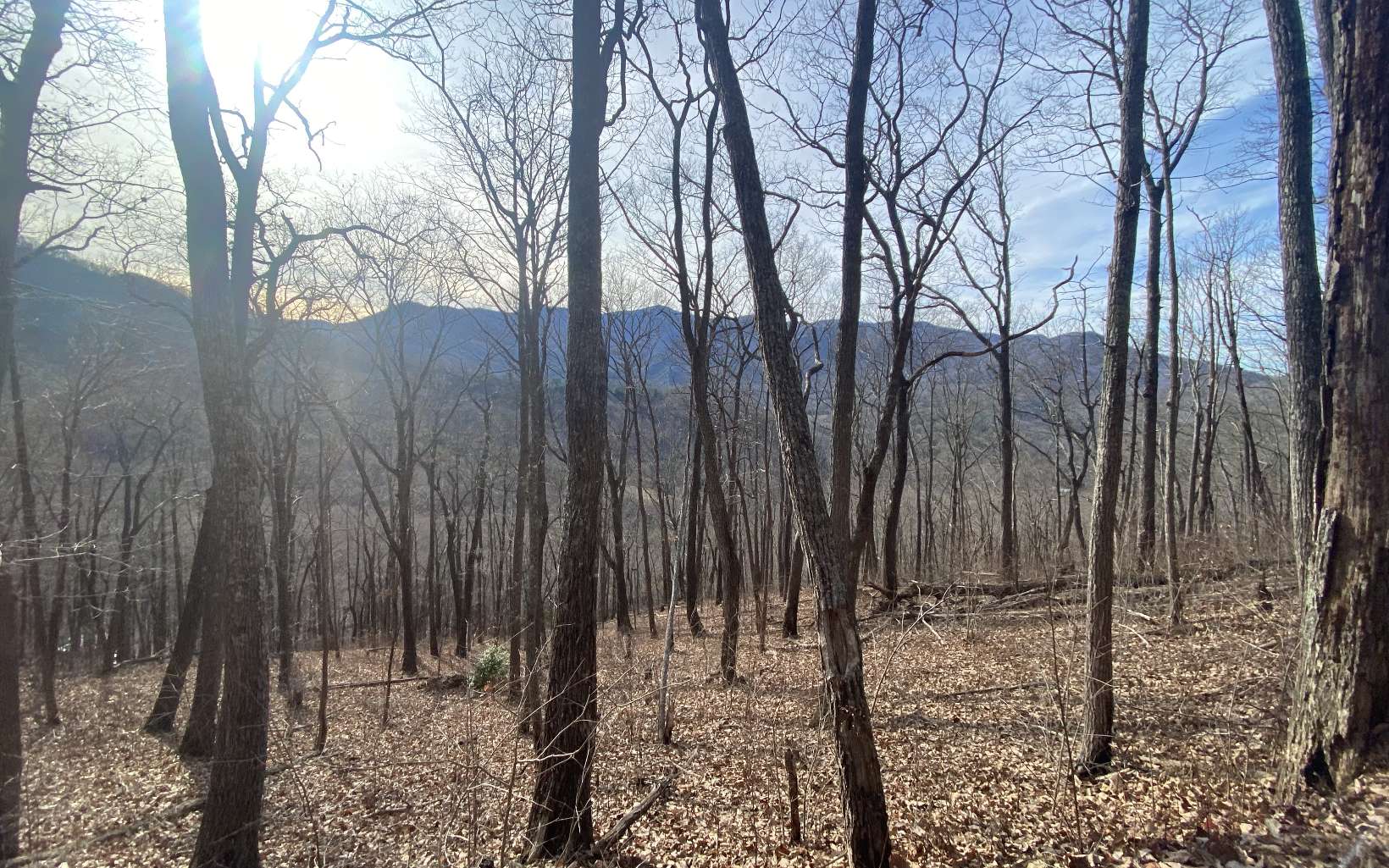 TR. 1 Caesar Gap Road