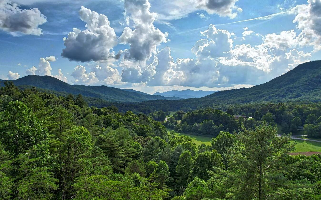 Tract 1A Barefoot Hill 1a