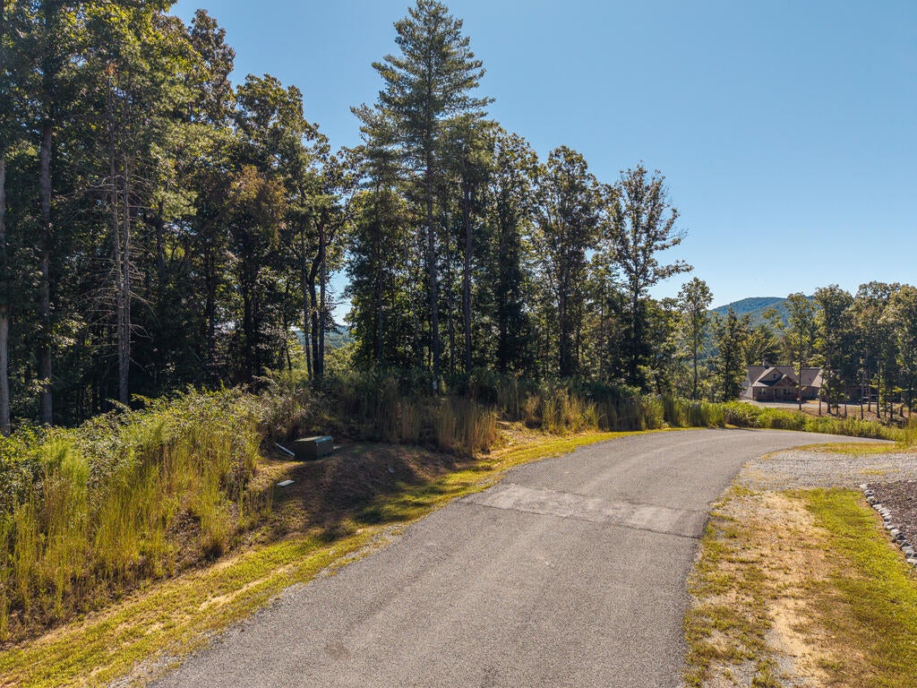 Lot 62 Ridge Drive