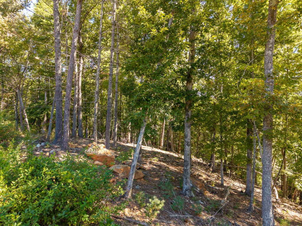 Lot 62 Ridge Drive