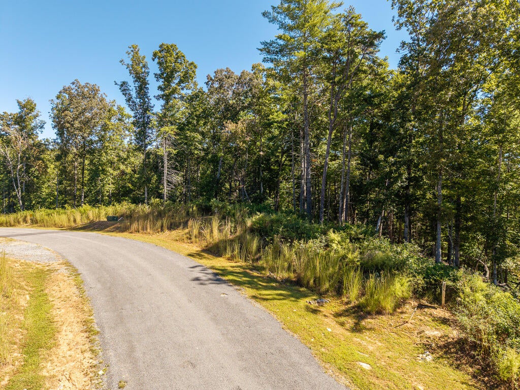 Lot 62 Ridge Drive