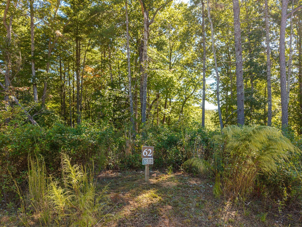 Lot 62 Ridge Drive