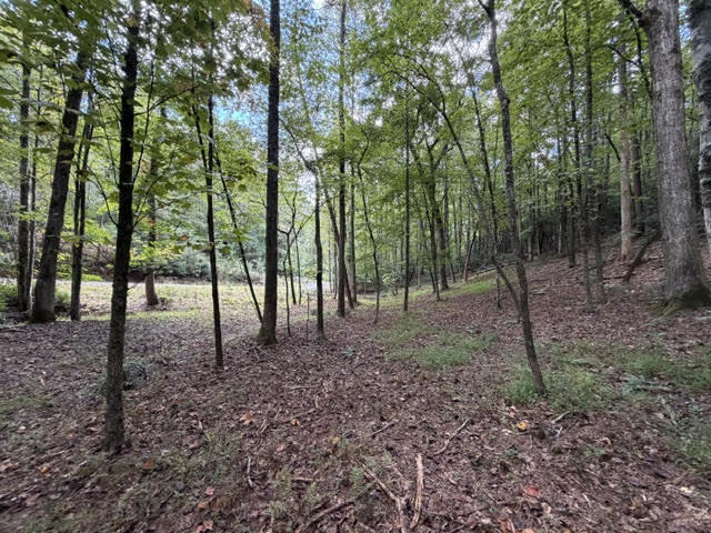LOT 133 Seneca Drive