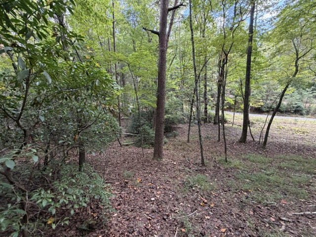 LOT 133 Seneca Drive