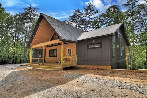 A home in Mineral Bluff