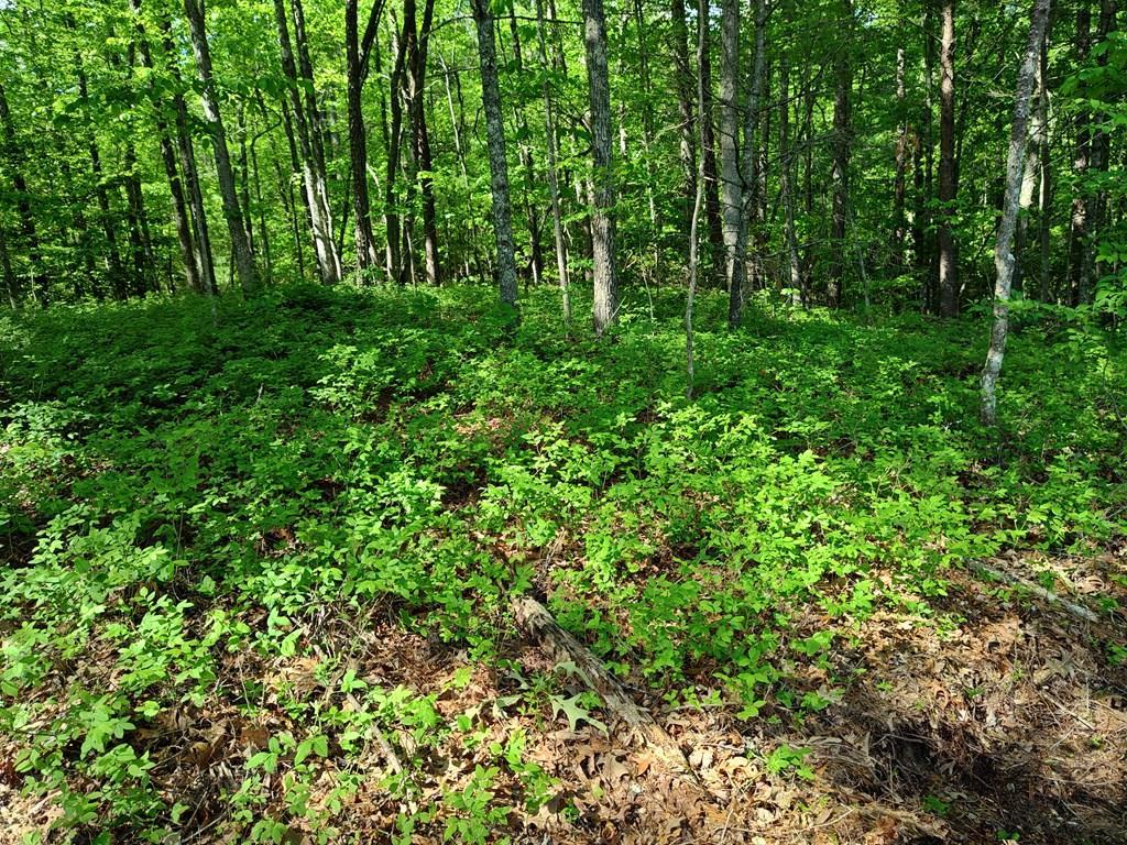 0 Hemlock Ridge Subd