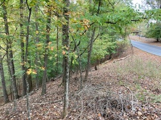 Lot 2246 Palisade Drive