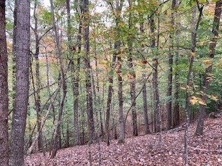 Lot 2246 Palisade Drive