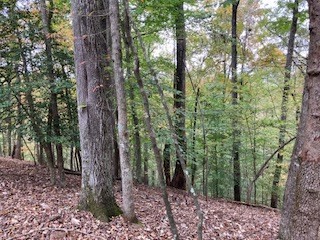 Lot 2246 Palisade Drive