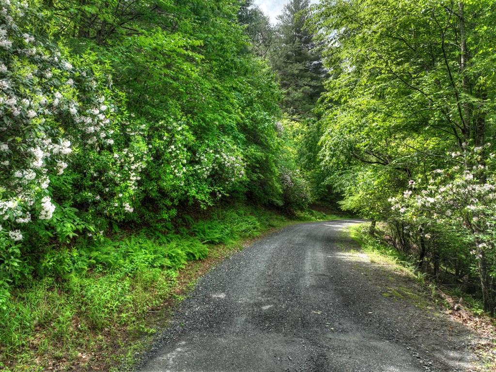 Lt 13 Ridge Road