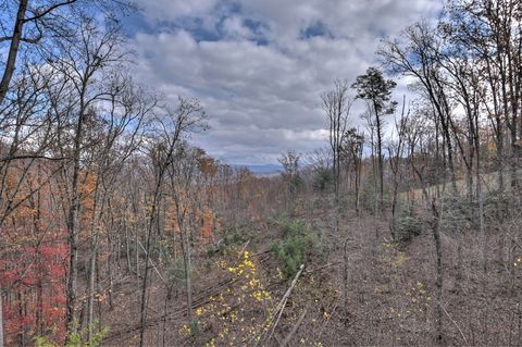 A home in Blue Ridge