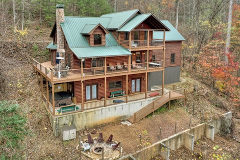 A home in Blue Ridge