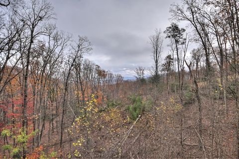 A home in Blue Ridge