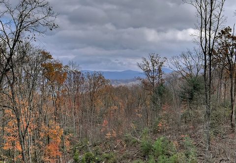 A home in Blue Ridge