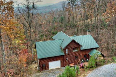 A home in Blue Ridge