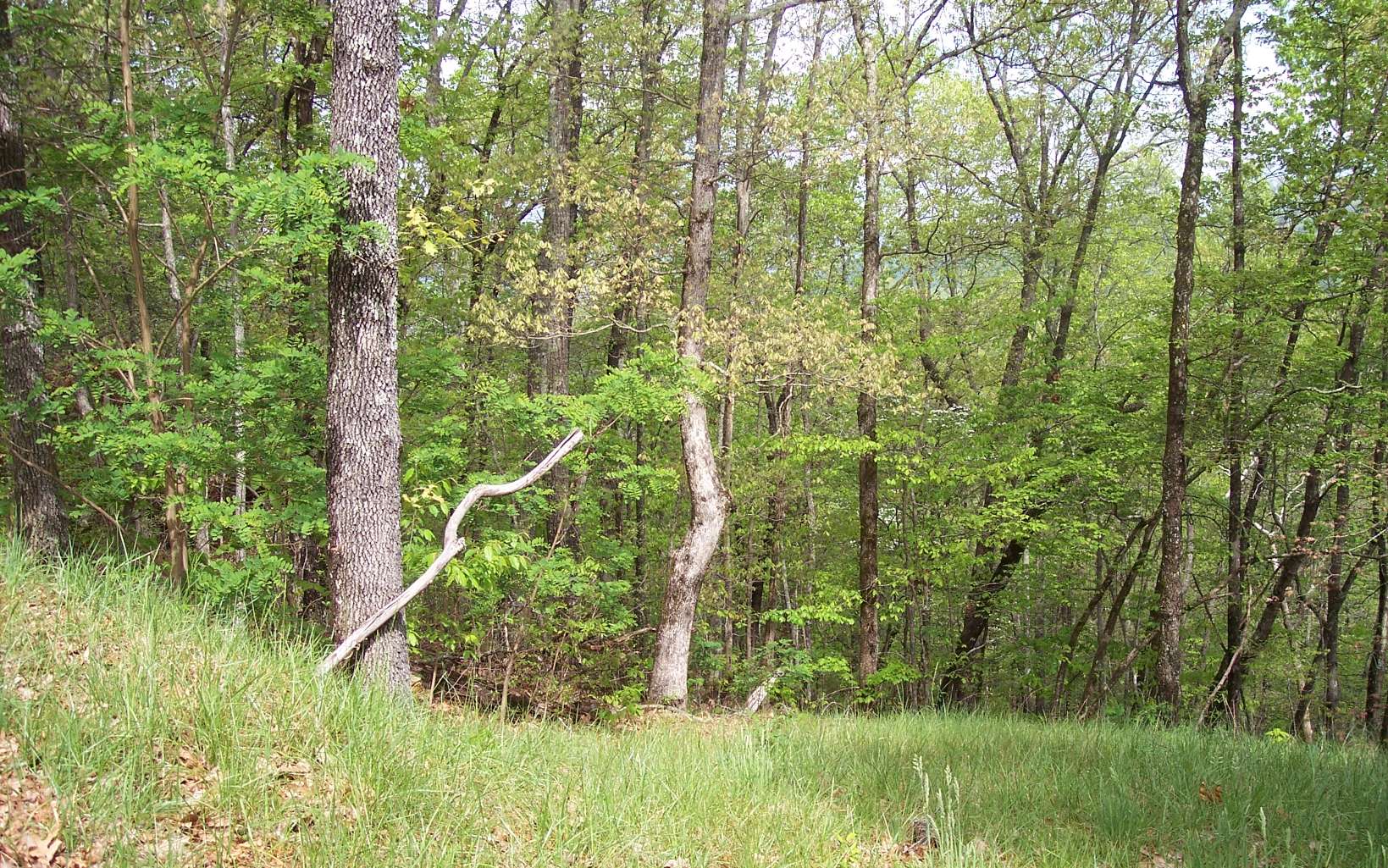 30 Coyote Cove