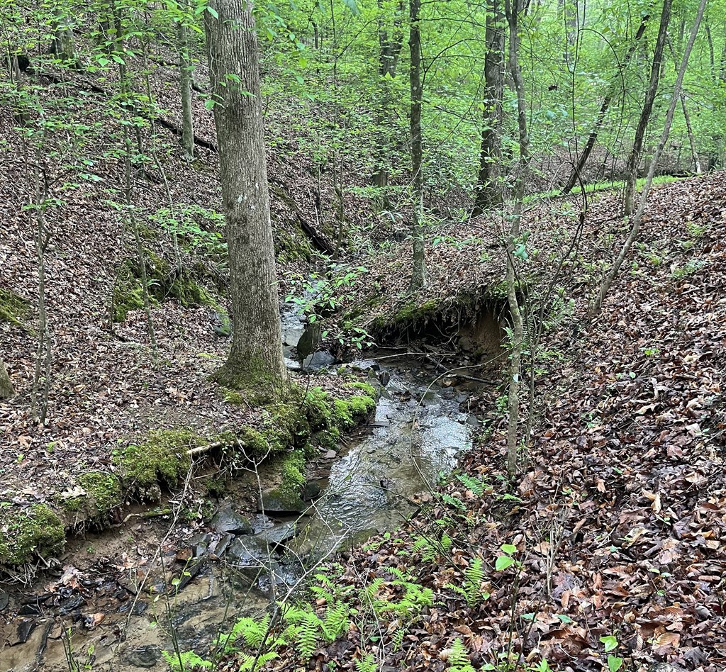 Lot 127 Water Oak Drive