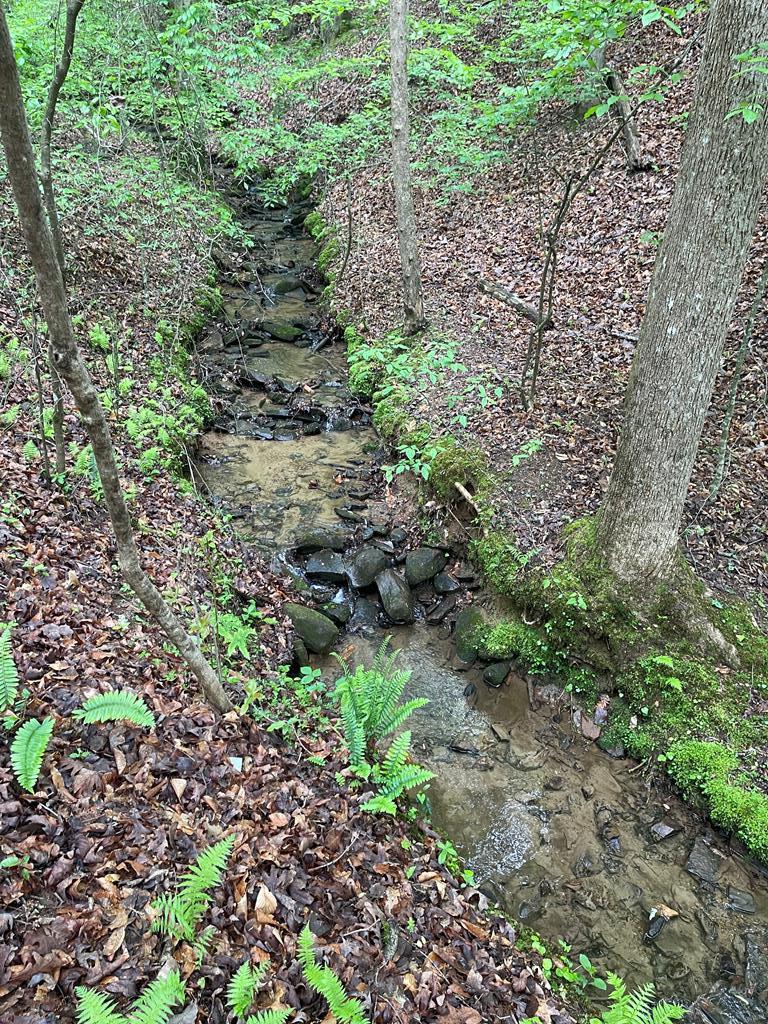 Lot 127 Water Oak Drive