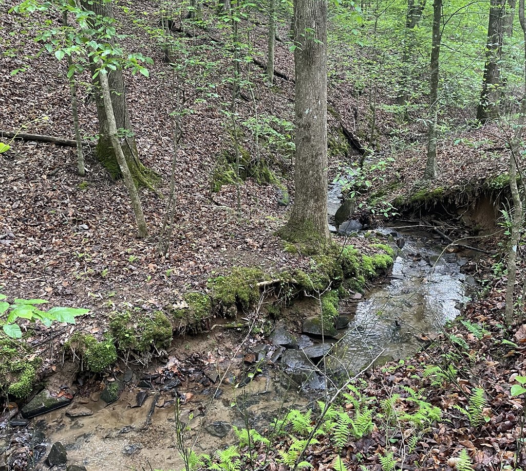 Lot 127 Water Oak Drive