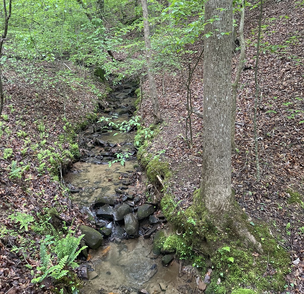 Lot 127 Water Oak Drive