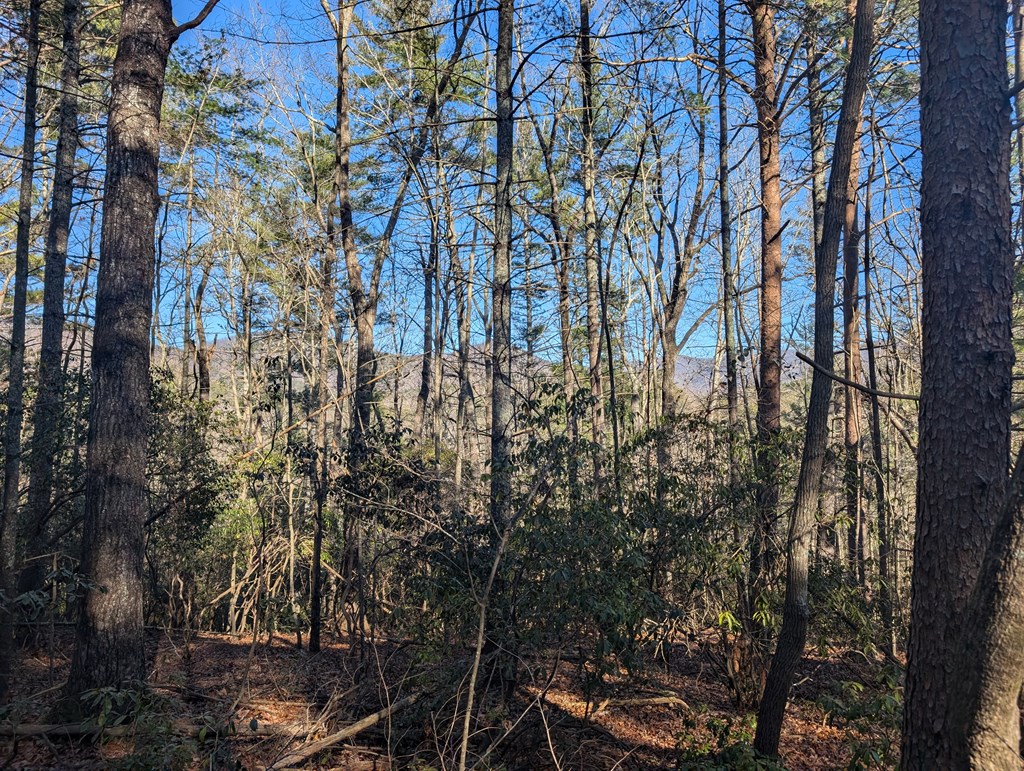 Lot J251 Pine Ridge Court