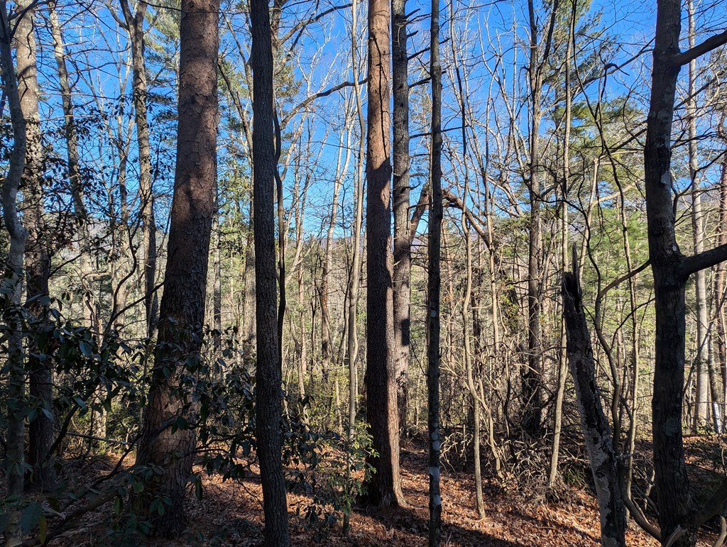 Lot J251 Pine Ridge Court