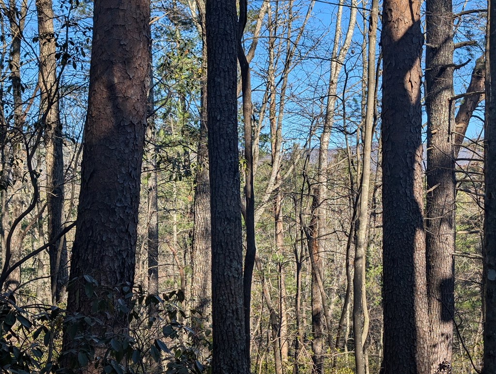 Lot J251 Pine Ridge Court