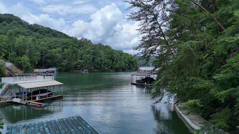 Lot 6&7 Browns Cove Road Blue Ridge GA 30513