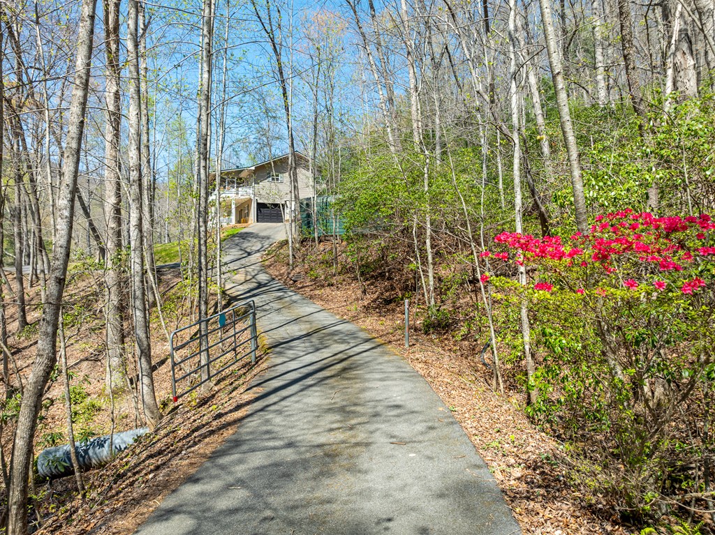 59 Eller Mountain Road