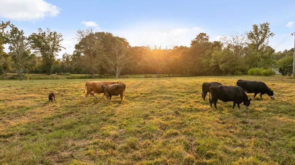 446 Brown Bridge Road