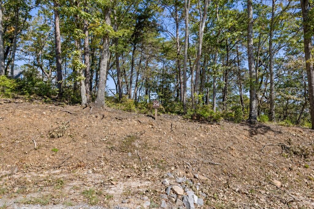 Lot 354 Calloway Mountain Road