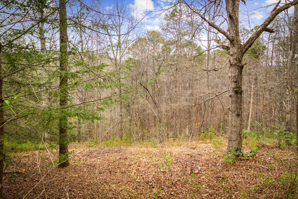 10042 Doublehead Gap Road