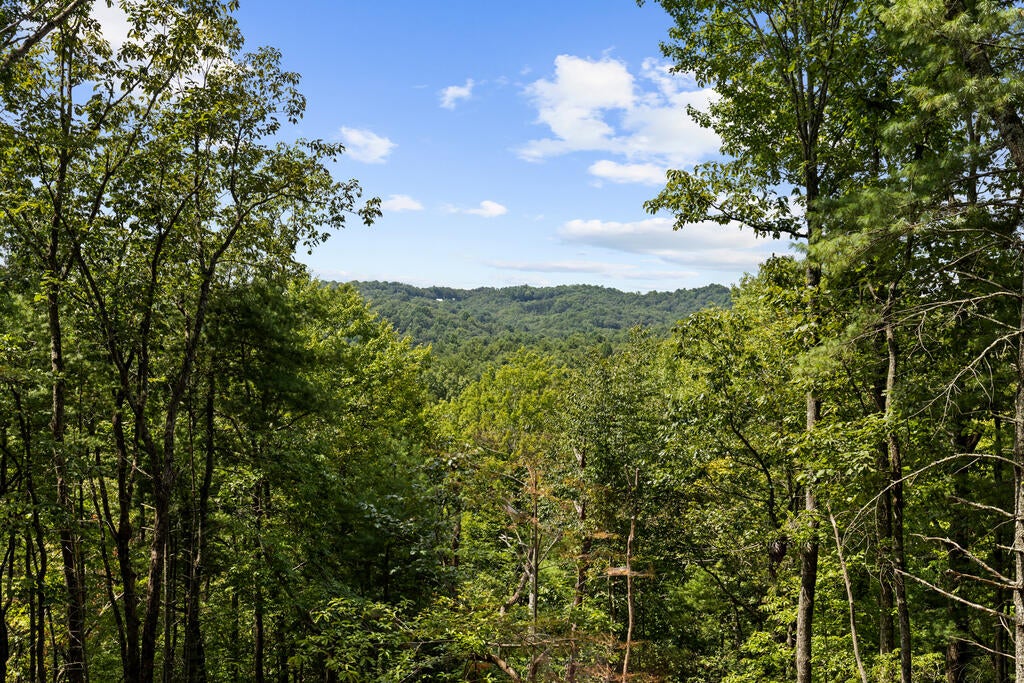 21 Mountain View Trail
