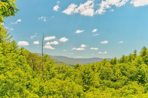 A home in Blue Ridge