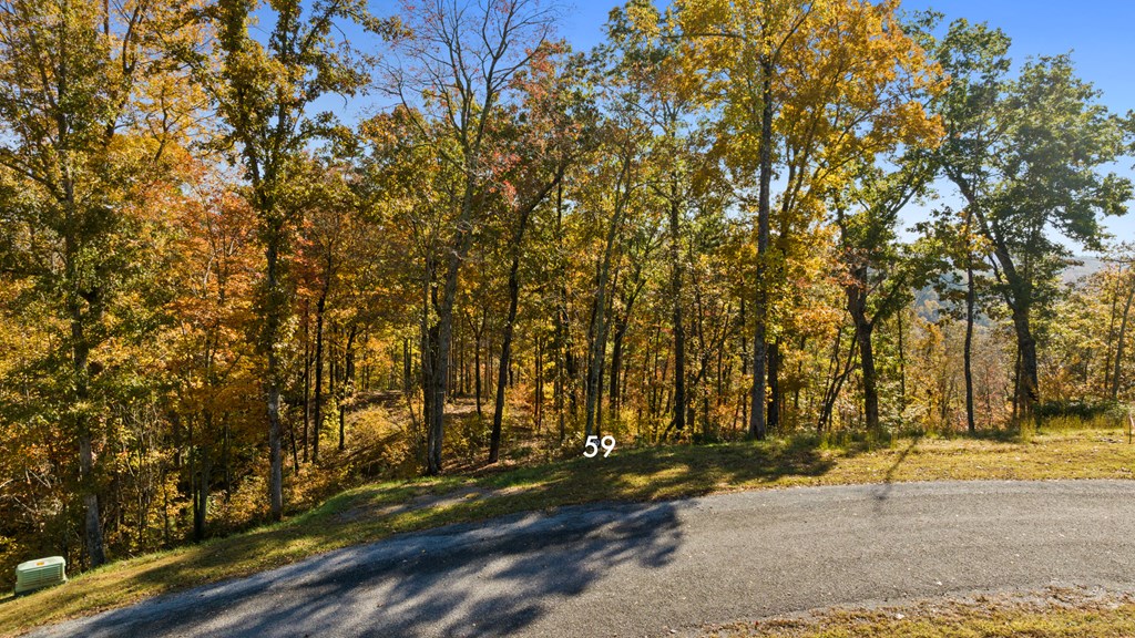 Lot 59 Ridge Line Trail