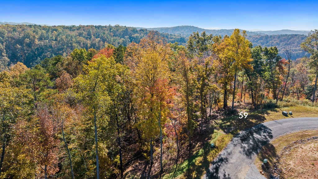 Lot 59 Ridge Line Trail