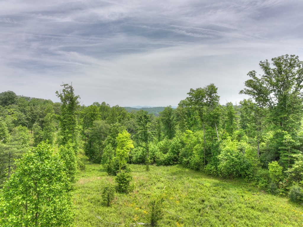 LOT 13 Hidden Acres