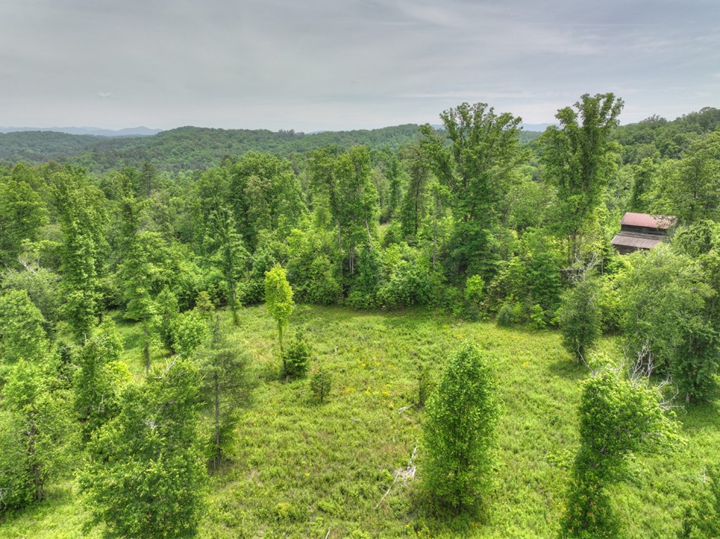 LOT 13 Hidden Acres