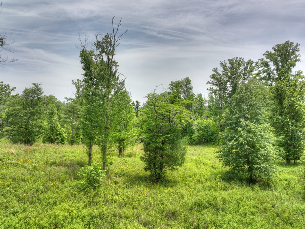 LOT 13 Hidden Acres