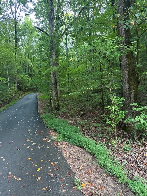 Lots 3&4 Amicalola Woods Road