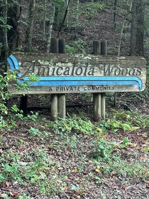 Lots 3&4 Amicalola Woods Road