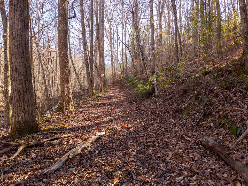 22A Bear Creek Estates