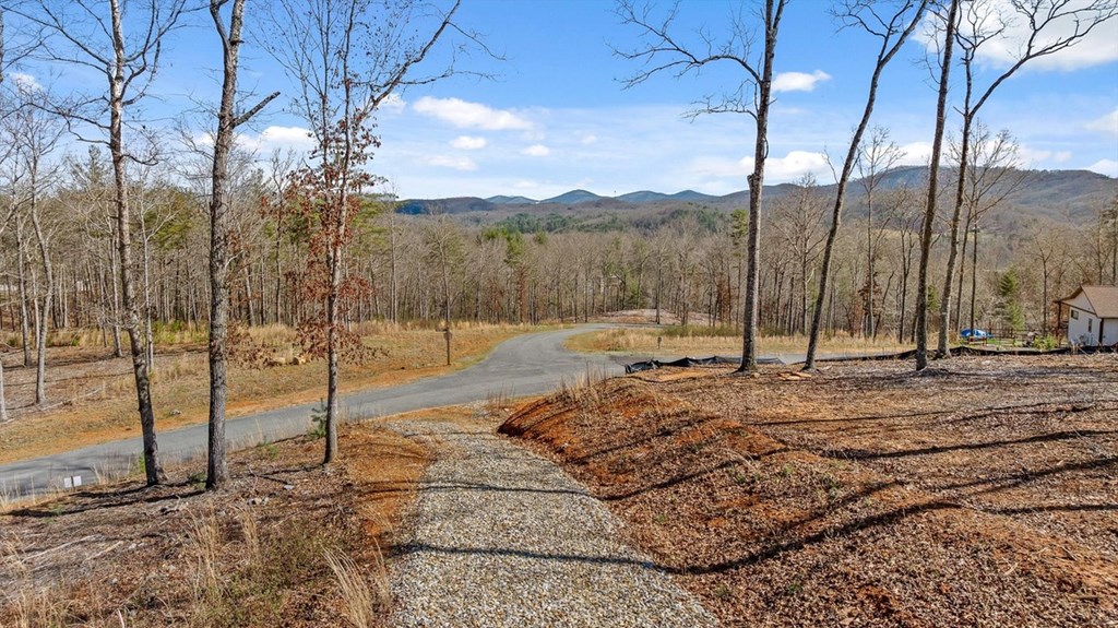 Lot 85 Split Creek Road